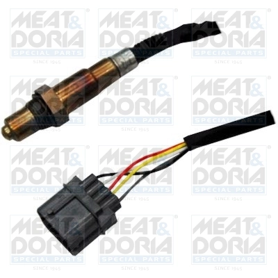 Oxygen Sensor